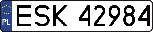 ESK42984