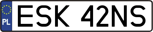 ESK42NS