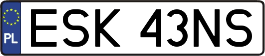 ESK43NS