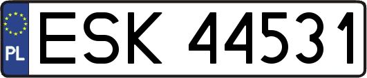 ESK44531