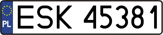 ESK45381