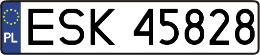 ESK45828