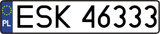 ESK46333