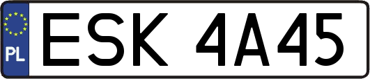 ESK4A45