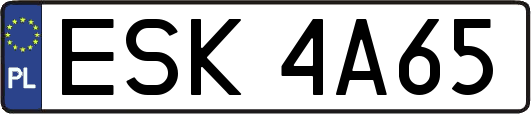 ESK4A65