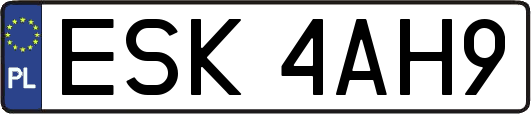 ESK4AH9