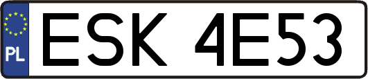 ESK4E53