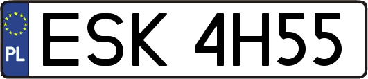 ESK4H55