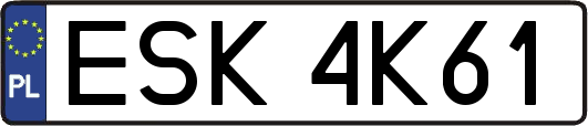 ESK4K61