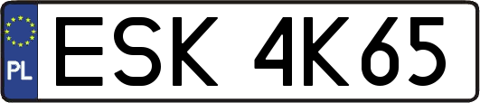 ESK4K65