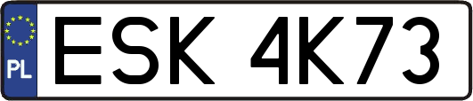 ESK4K73