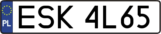 ESK4L65