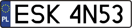 ESK4N53