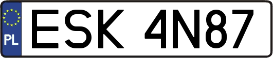 ESK4N87