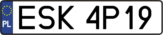 ESK4P19