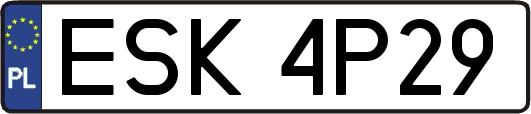 ESK4P29