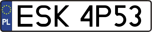 ESK4P53