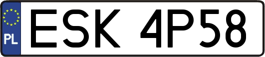 ESK4P58