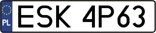 ESK4P63