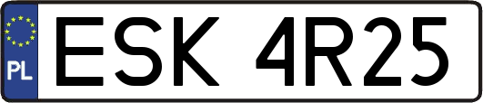 ESK4R25