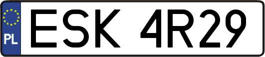 ESK4R29