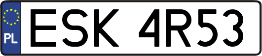 ESK4R53