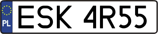 ESK4R55