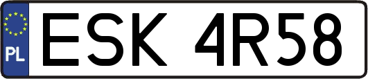 ESK4R58