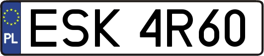 ESK4R60