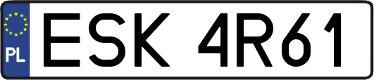 ESK4R61