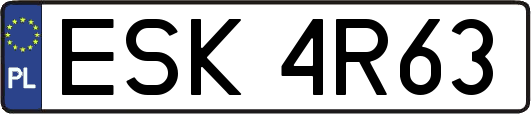 ESK4R63
