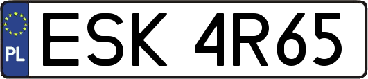 ESK4R65