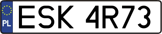 ESK4R73