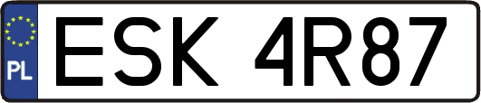 ESK4R87