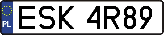 ESK4R89