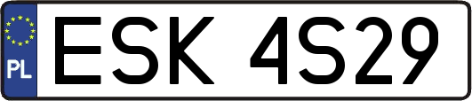 ESK4S29