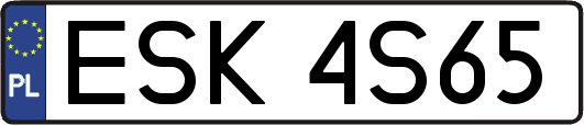 ESK4S65