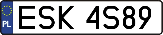ESK4S89