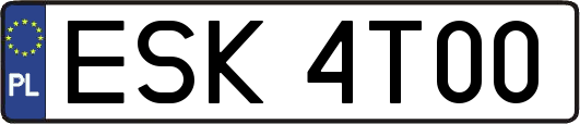 ESK4T00