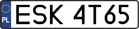 ESK4T65