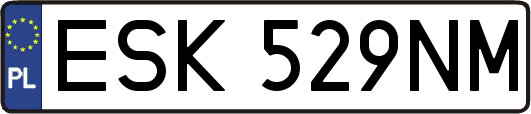 ESK529NM