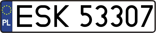 ESK53307