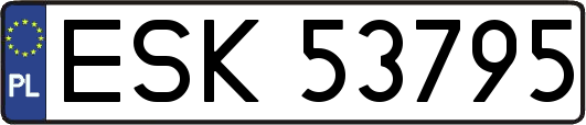 ESK53795