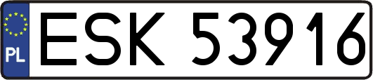 ESK53916
