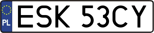 ESK53CY