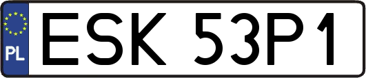 ESK53P1