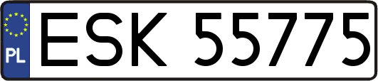 ESK55775