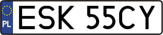 ESK55CY