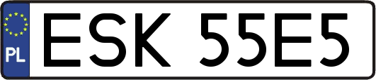 ESK55E5