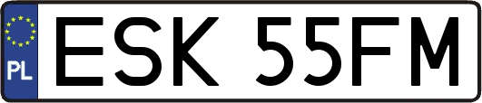 ESK55FM